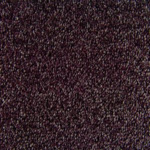 FSB 105 798 Elecampane