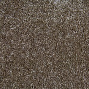 FSB 105 799 Elecampane