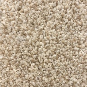 FSI 138 933 Marigold